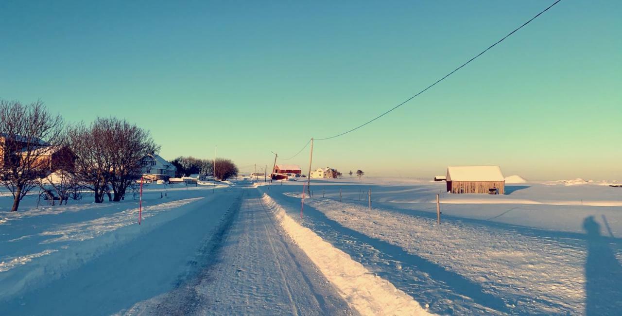 Narnia Lodge Lofoten Gimsoy Bagian luar foto